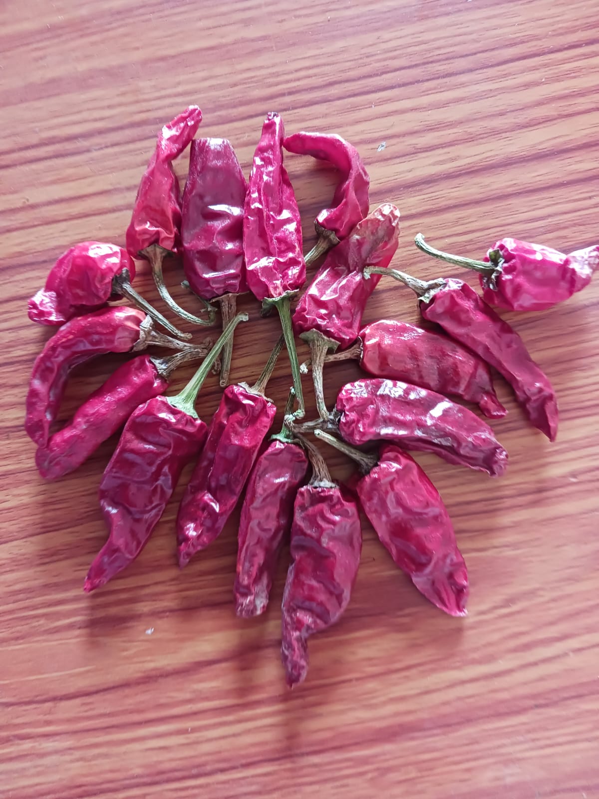 Sun-Dried Red Chillies Export Quality SS Global Traders